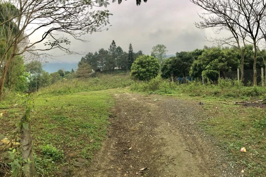 Nhiều mảnh đất ở vùng xanh được rao bán sôi động trở lại. Ảnh: Đức Thịnh