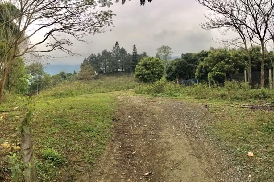 Nhiều mảnh đất ở vùng xanh được rao bán sôi động trở lại. Ảnh: Đức Thịnh