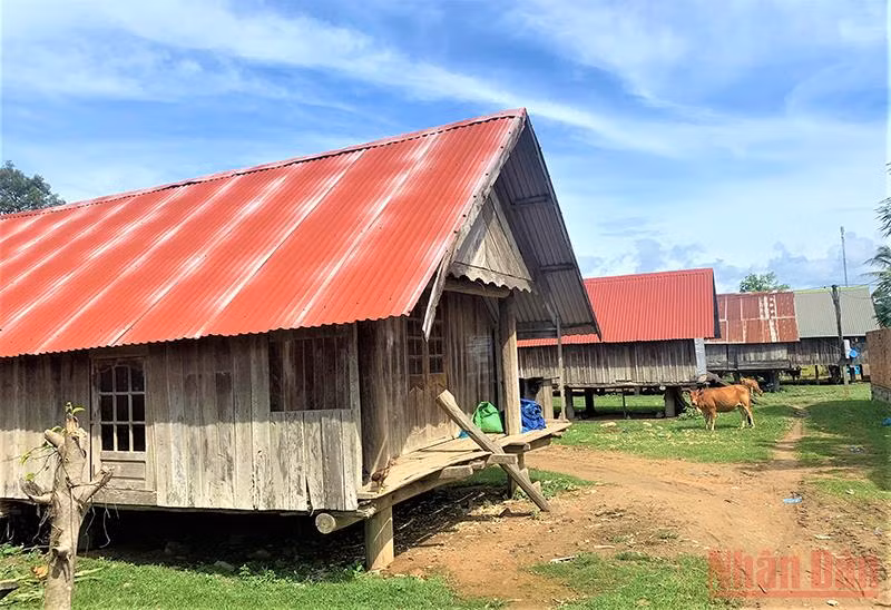 Đứng trên Biệt điện Bảo Đại nhìn xuống, xa xa là các buôn cổ M’nông hiện ra trông đẹp như một bức tranh. 