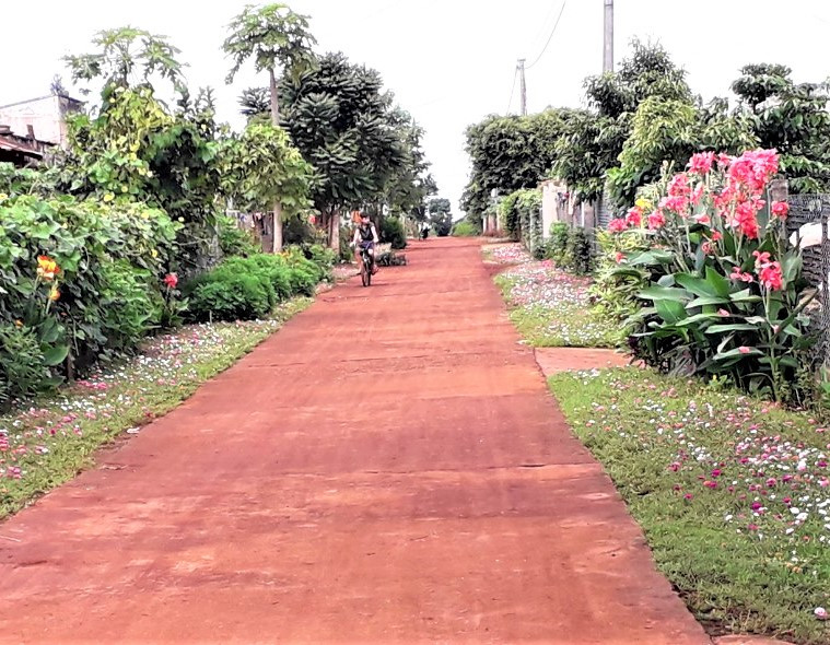 Một góc con đường hoa ở làng Dôr 2, xã Glar, huyện Đak Đoa. Ảnh. Đinh Yến