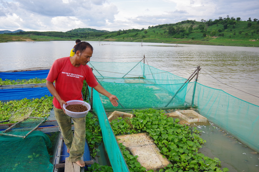 Anh A Chứ phấn khởi khi tham gia mô hình nuôi ếch. Ảnh: VT