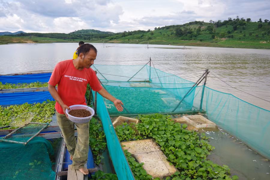 Anh A Chứ phấn khởi khi tham gia mô hình nuôi ếch. Ảnh: VT