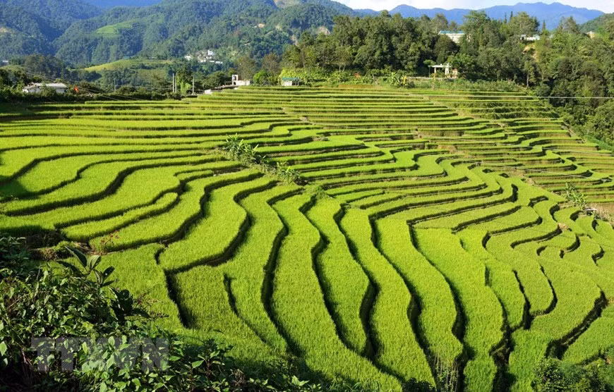 Những thửa ruộng bậc thang được tạo nên bởi bàn tay khéo léo của đồng bào các dân tộc sinh sống tại xã biên giới Sì Lở Lầu. Ảnh: Quý Trung/TTXVN