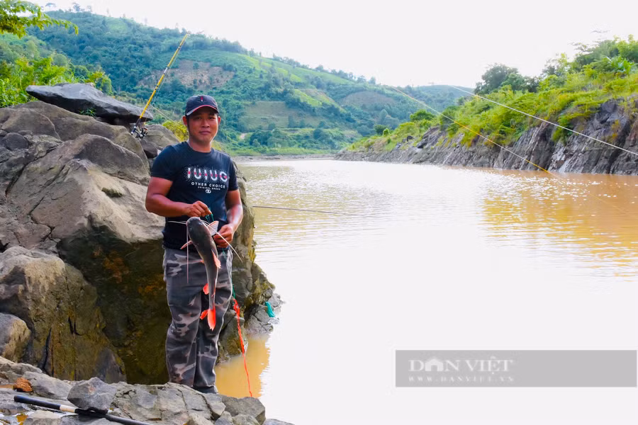 Con cá lăng đuôi đỏ đầu tiên nặng 3kg của nhóm cần thủ thả câu trên sông Sê San, huyện Chư Păh, tỉnh Gia Lai.