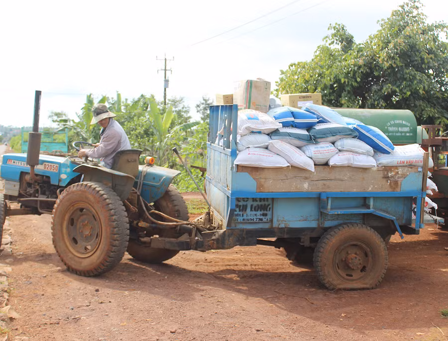  Phân bón có vai trò quan trọng trong sản xuất nông nghiệp của nông dân trên địa bàn tỉnh. Ảnh: Nguyễn Diệp