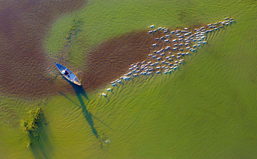 Ảnh: Hoàng Quốc Vĩnh Ảnh: Hoàng Quốc Vĩnh