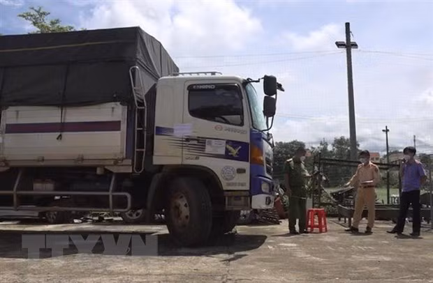 Ảnh minh họa: TTXVN phát