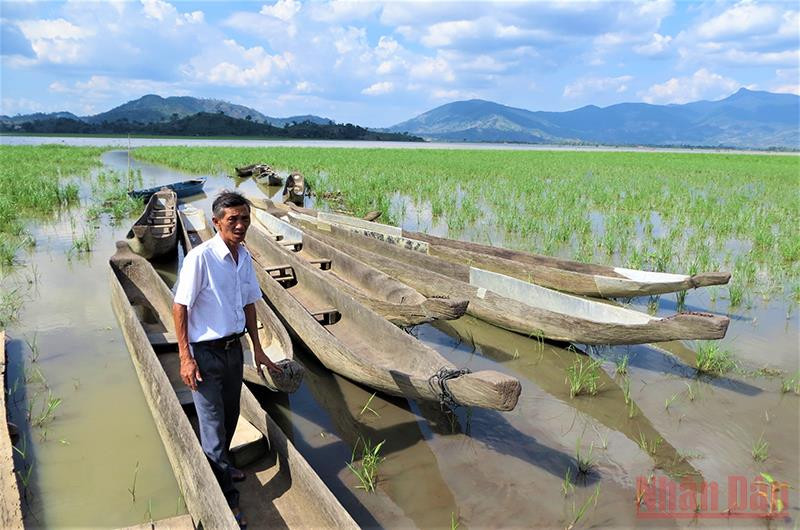  Những chiếc xuồng của người dân dùng để chèo đi đánh bắt cá trên hồ Lắk.