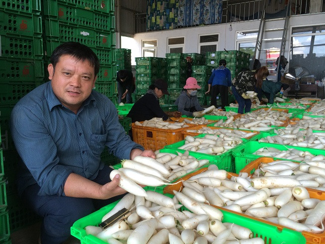 HTX Nam Sơn do anh Nguyễn Văn Đoàn làm Giám đốc đang sản xuất, kinh doanh các mặt hàng nông sản như cà rốt, củ cải, khoai lang, hành tây, cà chua, cà tím và một số loại rau, củ, quả theo mùa khác.