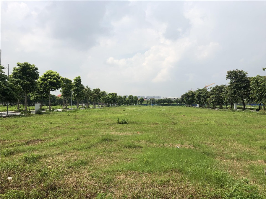 Vùng xanh thành cơ hội cứu cánh của môi giới bất động sản sau gần hai tháng nằm im. Ảnh Cao Nguyên.