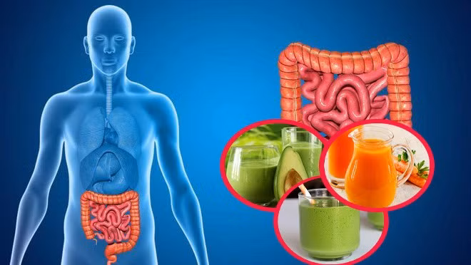 Ảnh minh họa những loại sinh tố tốt cho tiêu hóa: Ảnh đồ họa TS