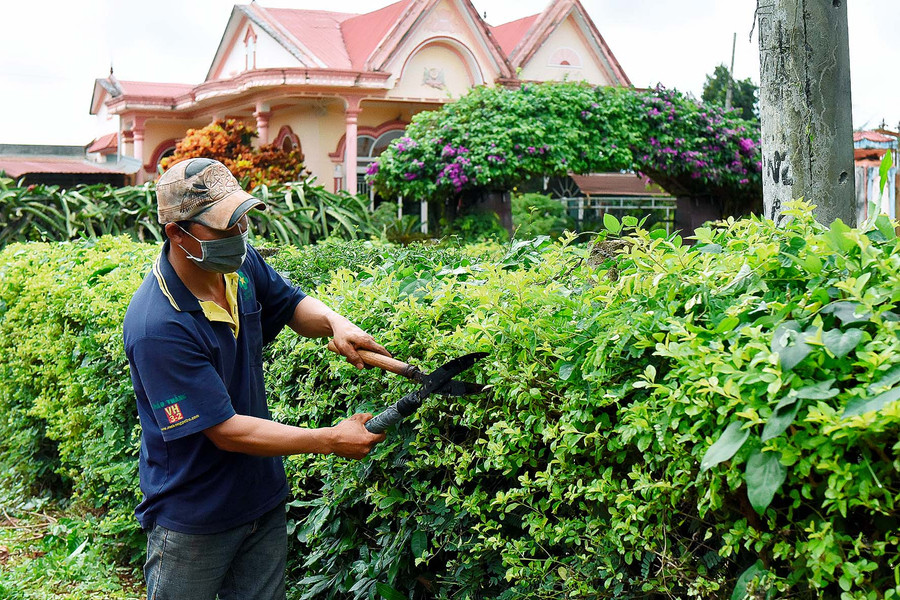 5.Mô hình hàng rào xanh không chỉ tạo cảnh quan xanh-sạch-đẹp mà còn làm cho sắc màu NTM ở xã thêm rực rỡ, góp phần nâng cao ý thức bảo vệ môi trường của người dân.