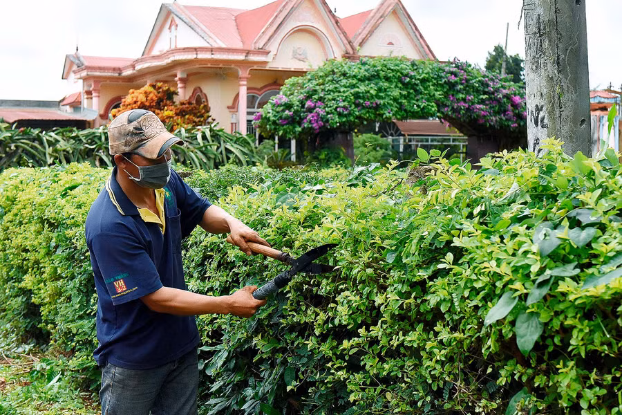 5.Mô hình hàng rào xanh không chỉ tạo cảnh quan xanh-sạch-đẹp mà còn làm cho sắc màu NTM ở xã thêm rực rỡ, góp phần nâng cao ý thức bảo vệ môi trường của người dân.