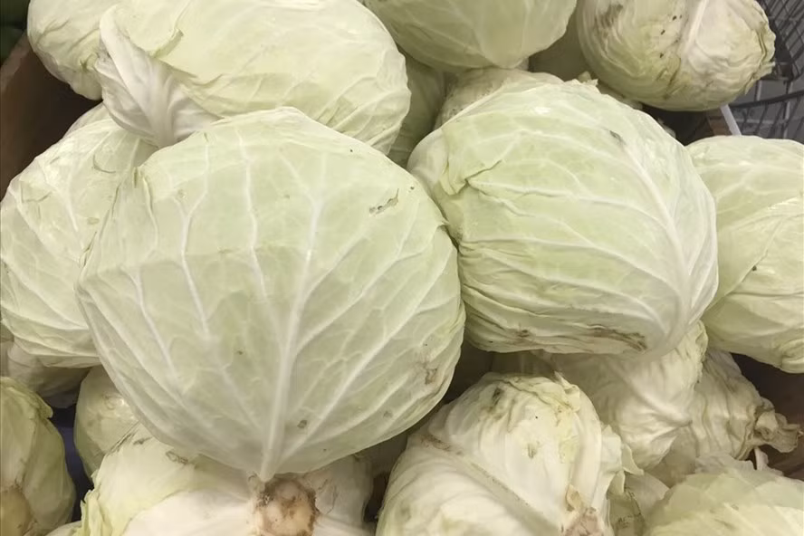 Bắp cải là một trong những loại rau tốt cho thận mà bạn nên bổ sung vào chế độ ăn uống. Ảnh: Thanh Ngọc