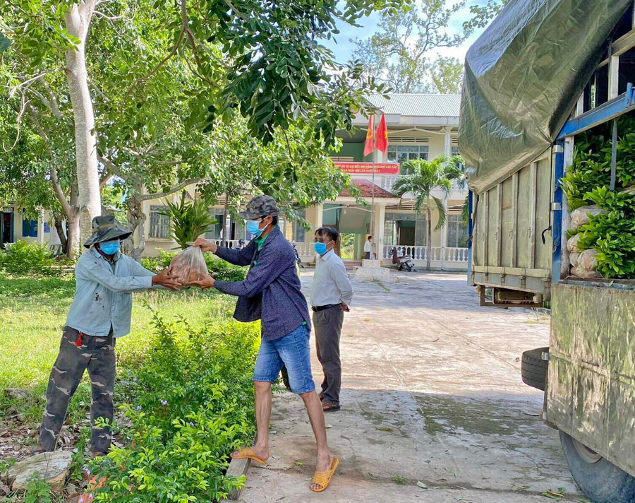 Hạt Kiểm lâm huyện Krông Pa cấp cây giống cho người dân xã Đất Bằng để trồng rừng. Ảnh: Lê Nam