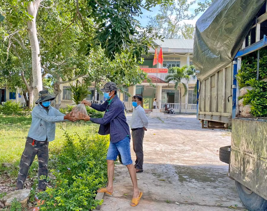 Hạt Kiểm lâm huyện Krông Pa cấp cây giống cho người dân xã Đất Bằng để trồng rừng. Ảnh: Lê Nam