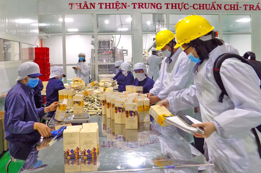 Đóng gói sản phẩm cà phê L’amant tại Công ty TNHH Vĩnh Hiệp (TP. Pleiku). Ảnh: Hà Duy Đóng gói sản phẩm cà phê L’amant tại Công ty TNHH Vĩnh Hiệp (TP. Pleiku). Ảnh: Hà Duy
