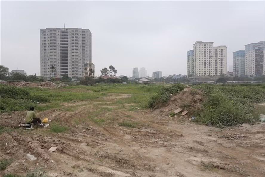 Giảm tiền thuê đất cho các đối tượng bị ảnh hưởng bởi dịch Covid-19. Ảnh: Cao Nguyên