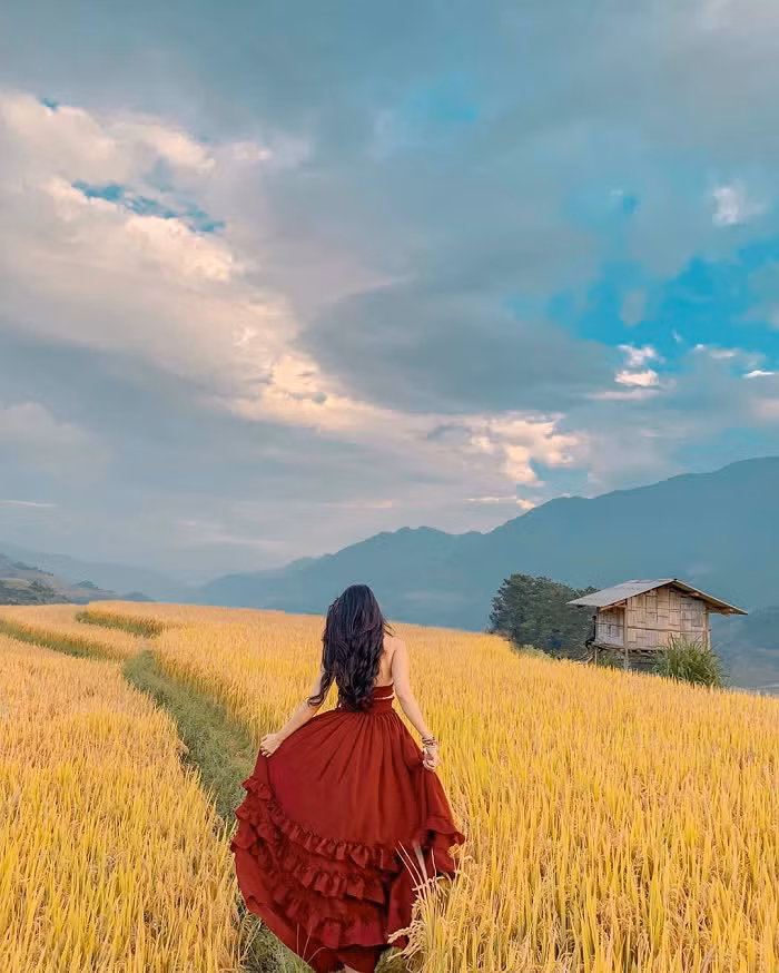 Bức tranh mùa lúa chín làm mê hoặc lòng người. Ảnh: we25