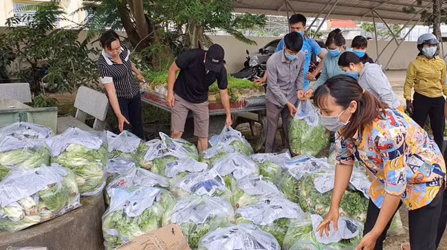 Rau, củ, quả tươi ngon của bà con nông dân huyện Lâm Hà, tỉnh Lâm Đồng ủng hộ vùng dịch TP Hồ Chí Minh.