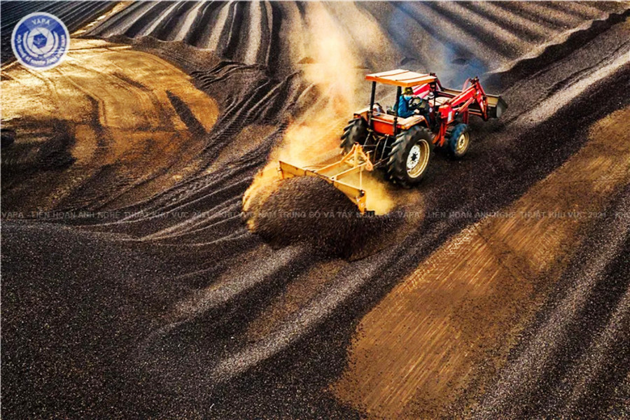 Tác phẩm "Vun cà phê" của tác giả Lê Văn Vinh được trao huy chương đồng. Ảnh: Lam Nguyên Tác phẩm Vun cà phê của tác giả Lê Văn Vinh được trao huy chương đồng. Ảnh: Lam Nguyên