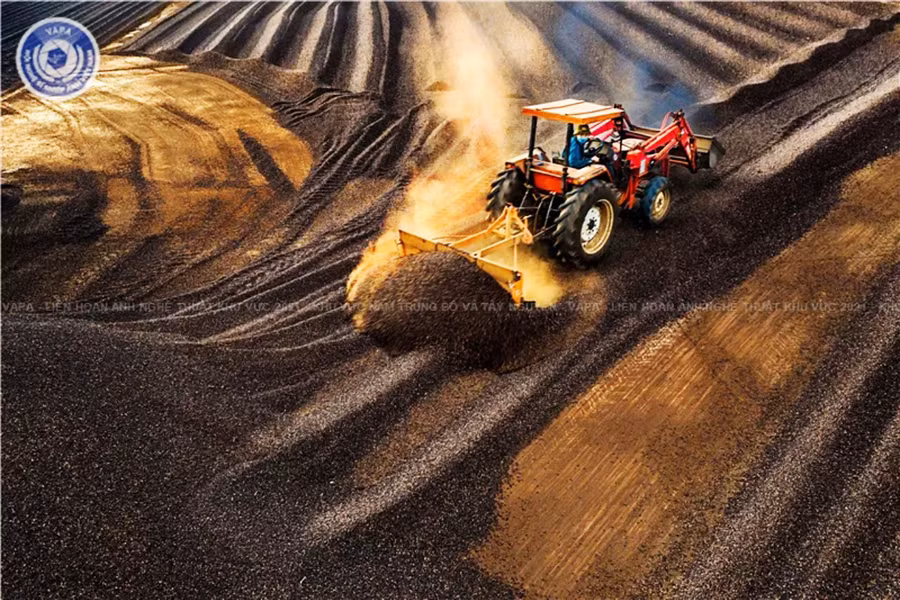 Tác phẩm Vun cà phê của tác giả Lê Văn Vinh được trao huy chương đồng. Ảnh: Lam Nguyên