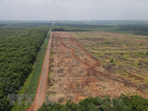 Khu đất thuộc dự án sân bay Long Thành. (Ảnh: TTXVN) Khu đất thuộc dự án sân bay Long Thành. (Ảnh: TTXVN)