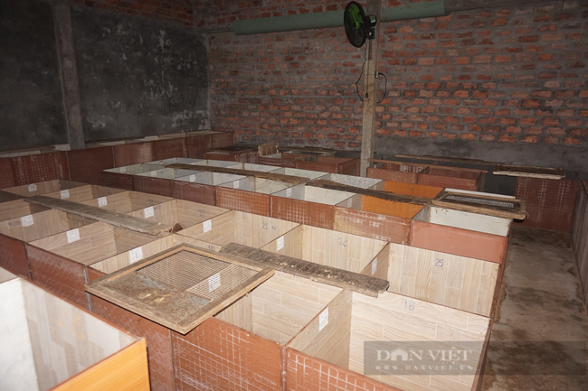 Chuồng trại sạch sẽ, thông thoáng giúp dúi có môi trường sống thuận lợi. Ảnh: Tuyết Nhung