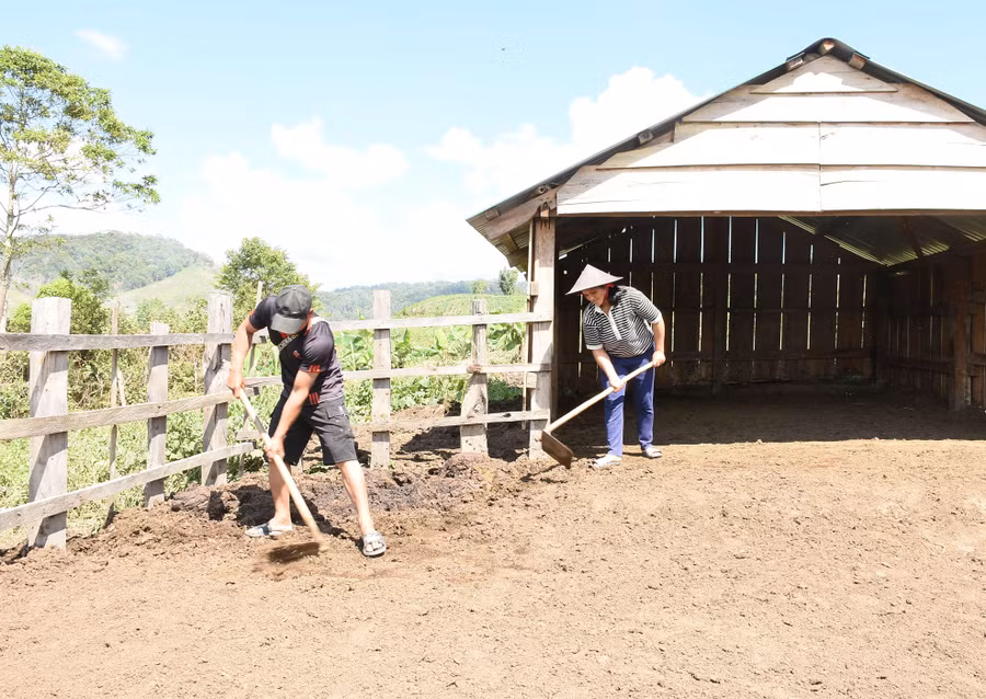 Quét dọn chuồng trại sạch sẽ, sử dụng phân chuồng để bón cho cây trồng. Ảnh: H.T Quét dọn chuồng trại sạch sẽ, sử dụng phân chuồng để bón cho cây trồng. Ảnh: H.T