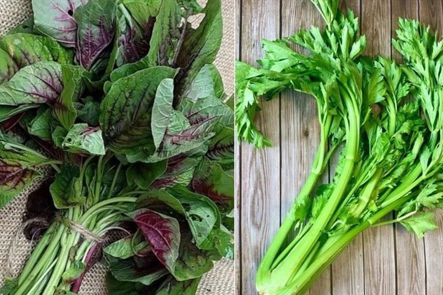 Rau dền, cần tây là những loại rau tốt cho bệnh cao huyết áp. Đồ họa: Thanh Ngọc