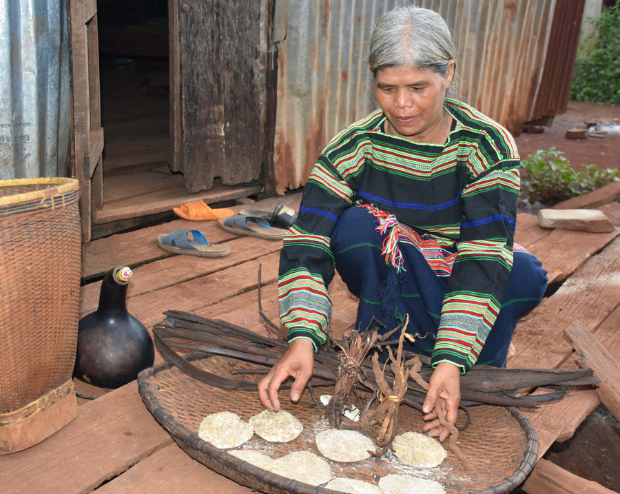 Bà Siu Á chọn cách phơi khô rễ và vỏ cây rừng để làm men rượu truyền thống. Ảnh: Trần Dung