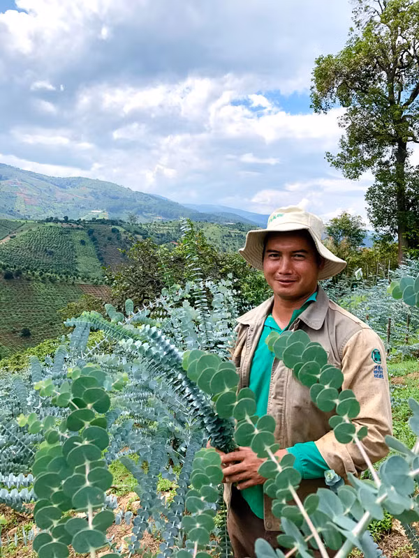 Anh Cil Ha Phước trong vườn đô-la