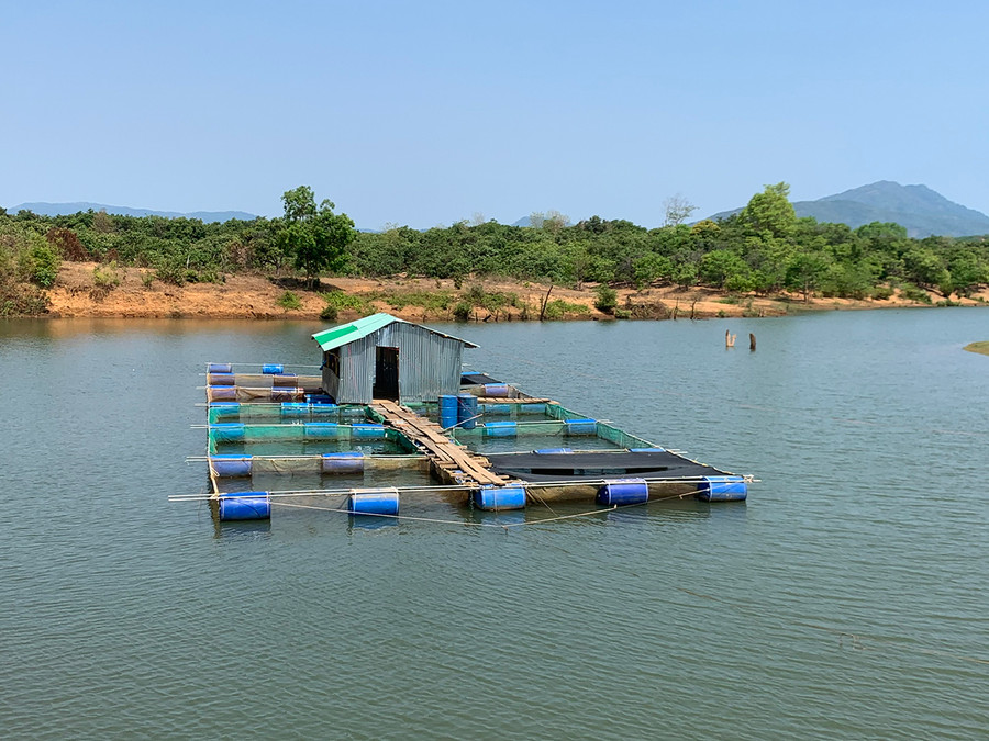 Những lồng nuôi cá của Tổ hợp tác làng Nú (xã Ia Khai, huyện Ia Grai). Ảnh: Hà Phương Những lồng nuôi cá của Tổ hợp tác làng Nú (xã Ia Khai, huyện Ia Grai). Ảnh: Hà Phương
