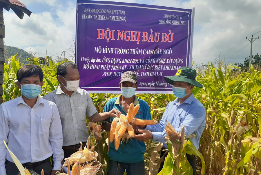 Cán bộ Phòng Nông nghiệp và PTNT huyện Chư Sê và người dân tham gia mô hình tại hội thảo. Ảnh: Hoàng Viên  Cán bộ Phòng Nông nghiệp và PTNT huyện Chư Sê và người dân tham gia mô hình tại hội thảo. Ảnh: Hoàng Viên