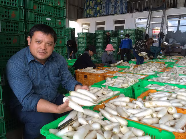 Thông qua Hội ND, anh Nguyễn Văn Đoàn - Giám đốc HTX Nông nghiệp Nam Sơn đã ủng hộ hơn 300 tấn rau, củ, quả. Ảnh:Trung Kiên