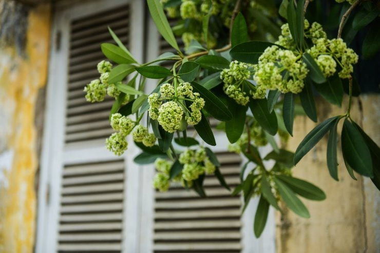 Ảnh minh họa. Ảnh minh họa.