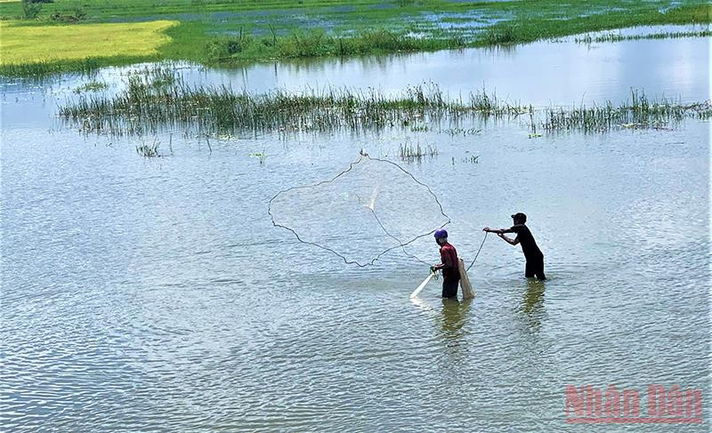 Nhờ vào nguồn nước hồ Lắk, đồng bào M’nông ở đây sản xuất lúa nước hai vụ mỗi năm. 