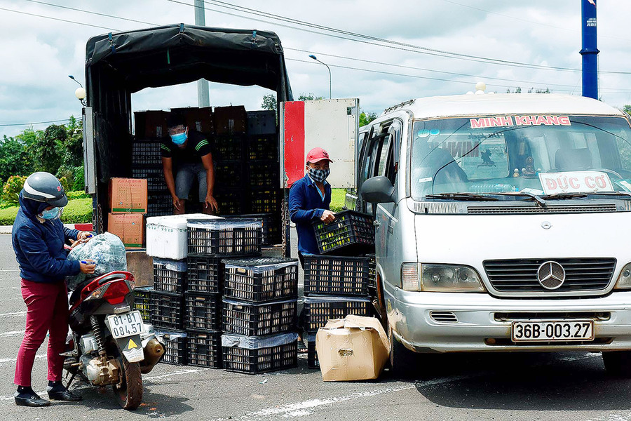  Người dân vận chuyển nông sản lên xe “luồng xanh” để đưa đi tiêu thụ. Ảnh: Đức Thụy
