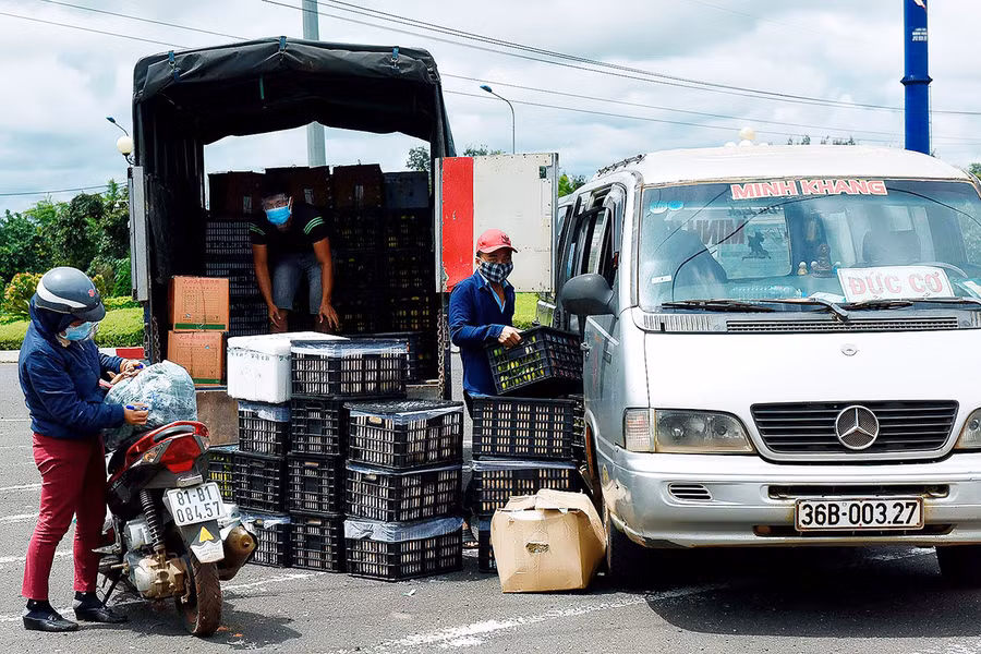  Người dân vận chuyển nông sản lên xe “luồng xanh” để đưa đi tiêu thụ. Ảnh: Đức Thụy
