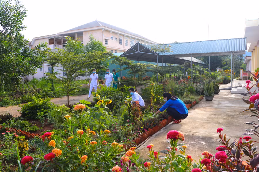 Chú trọng trồng hoa cây cảnh tại khuôn viên, cảnh quan môi trường Trung tâm Y tế thị xã An Khê khang trang sạch đẹp hơn. Ảnh: Ngọc Minh 