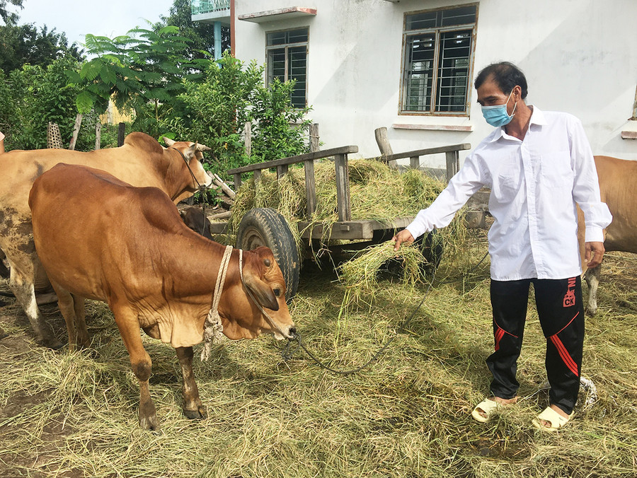 Ông Siu Dar (làng Voòng Boong, xã Chư Răng, huyện Ia Pa) đã vươn lên phát triển kinh tế nhờ sử dụng vốn vay có hiệu quả. Ảnh: RÔ H'OK  Ông Siu Dar đã vươn lên phát triển kinh tế nhờ sử dụng vốn vay có hiệu quả. Ảnh: RÔ H'OK