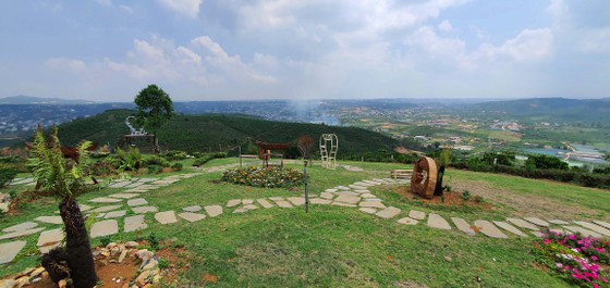 Một khu vườn trồng cà phê tại xã Lộc Châu, TP Bảo Lộc được cải tạo thành farmstay