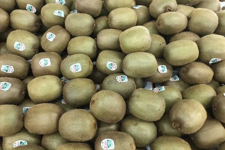 Kiwi giàu vitamin B6 giúp tăng cường chức năng não bộ. Ảnh: Thanh Ngọc Kiwi giàu vitamin B6 giúp tăng cường chức năng não bộ. Ảnh: Thanh Ngọc