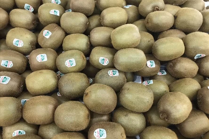  Kiwi giàu vitamin B6 giúp tăng cường chức năng não bộ. Ảnh: Thanh Ngọc 