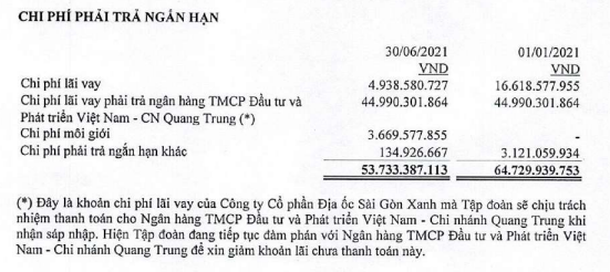 QCG có khoản lãi vay 45 tỷ đồng chưa thanh toán cho ngân hàng BIDV đang hạch toán vào chi phí phải trả ngắn hạn. Nguồn: QCG