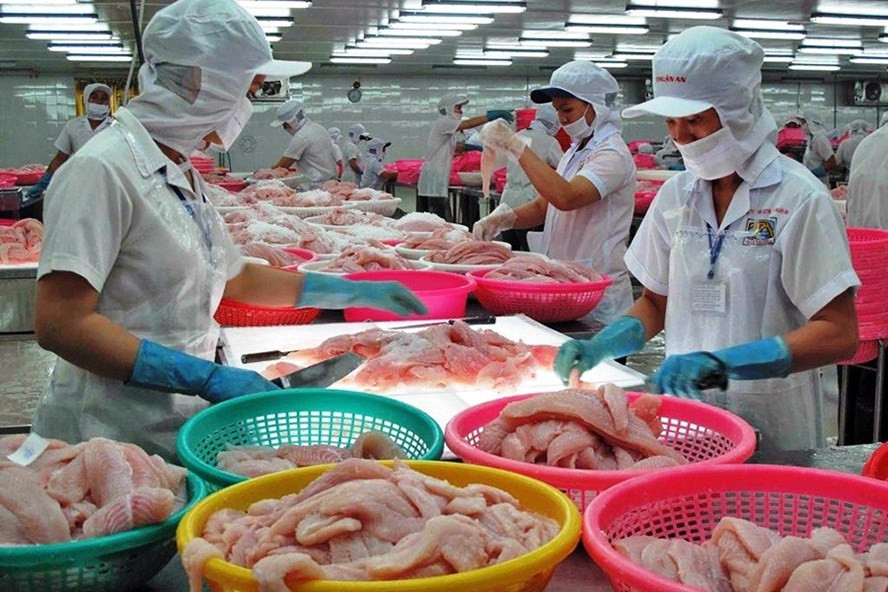 Cơ hội xuất khẩu lớn, nhưng các doanh nghiệp khó khăn về nguồn lao động và nguyên liệu để mở rộng sản xuất. Ảnh: Theo Tepbac