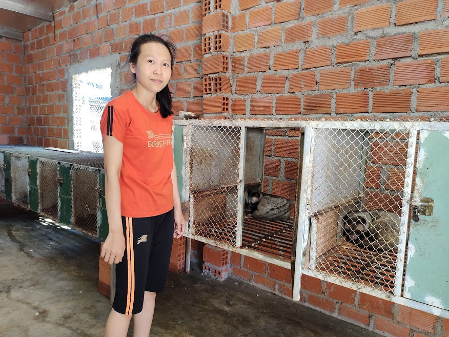 Gần 4 năm kiên trì theo đuổi, Chị Phạm Văn Kiều Diễm (Thôn Vạn Khánh, xã An Hòa) đã bắt đầu gặt hái được thành công từ mô hình nuôi chồn hương.