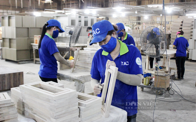 Công nhân chế biến gỗ ở Công ty gỗ Thuận An (Bình Dương). Ảnh: Nguyên Vỹ