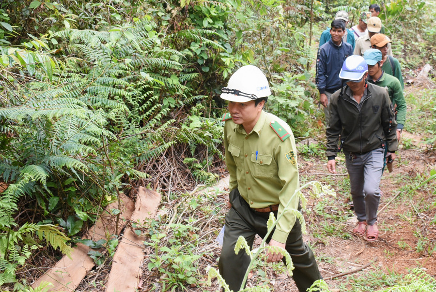 Kiểm lâm địa bàn phối hợp với Tổ bảo vệ rừng Kon Ktonh (xã Kon Pne, huyện Kbang) kiểm tra rừng nhạn khoán (ảnh chụp trước tháng 4-2021). Ảnh: Minh Nguyễn