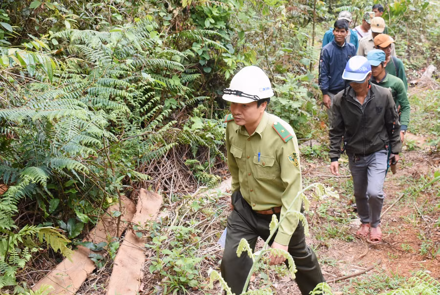 Kiểm lâm địa bàn phối hợp với Tổ bảo vệ rừng Kon Ktonh (xã Kon Pne, huyện Kbang) kiểm tra rừng nhạn khoán (ảnh chụp trước tháng 4-2021). Ảnh: Minh Nguyễn